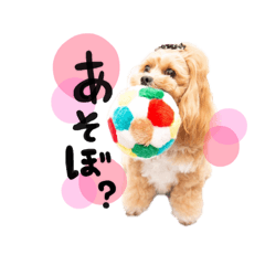 [LINEスタンプ] つくねちゃんのスタンプ