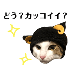 [LINEスタンプ] にゃお＆そー3