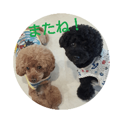 [LINEスタンプ] 黒と茶のアフロ和プー2 