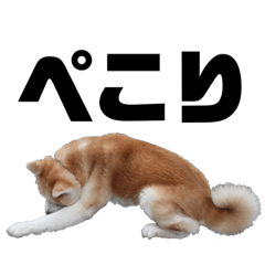 [LINEスタンプ] わが家のでこぼこ兄弟その2 