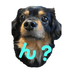 [LINEスタンプ] そらくんりこちゃん 