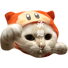 [LINEスタンプ] はんぺんはめす 