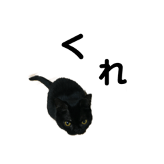 [LINEスタンプ] 黒猫たるみ