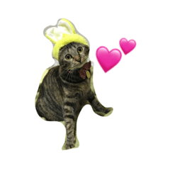 [LINEスタンプ] ちぃちゃん❣️ 