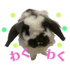 [LINEスタンプ] うさぎさん（なつめ）2 fetchpriority=high