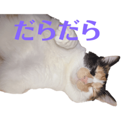 [LINEスタンプ] マイケルとジロ