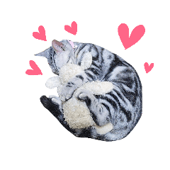[LINEスタンプ] あさかZOO 3