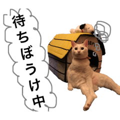 [LINEスタンプ] ちゃんきみ