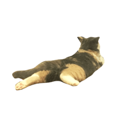 [LINEスタンプ] モフモフ猫のもふちゃん