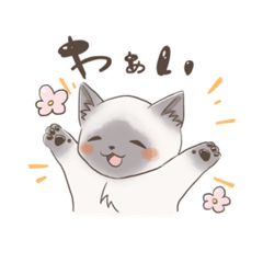 [LINEスタンプ] おしゃむくんスタンプ