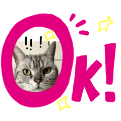 [LINEスタンプ] ひーめ