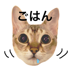 [LINEスタンプ] しのレグ