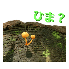 [LINEスタンプ] 野生のキノコ