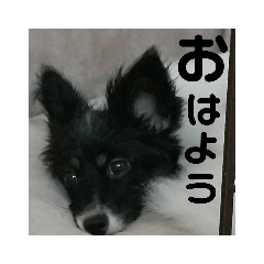 [LINEスタンプ] 音と楽③
