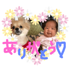 [LINEスタンプ] 【さくちゃんのスタンプ】 