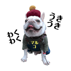 [LINEスタンプ] フレンチブルドックのマルコ
