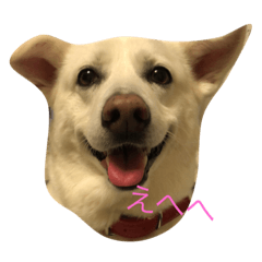[LINEスタンプ] ふくちゃんふくちゃん 