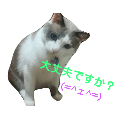 [LINEスタンプ] 思いやりの一言ぷー君より