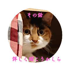 [LINEスタンプ] もふぽわ animal 2