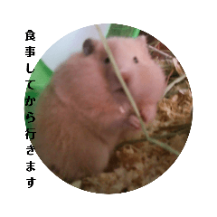 [LINEスタンプ] もふぽわ animal