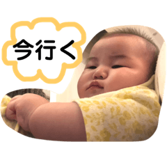 [LINEスタンプ] しばスタ♪ 2