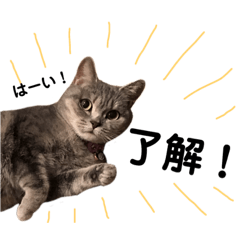 [LINEスタンプ] こつぶスタンプ〜ときどき関西弁編〜