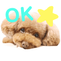 [LINEスタンプ] 我が家のアイドルむぅたん❤️