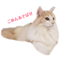 [LINEスタンプ] もきゅらーによるもきゅらーの為のスタンプ