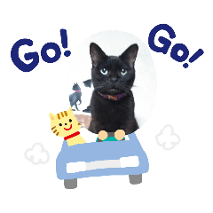 [LINEスタンプ] 猫づくし2