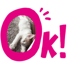 [LINEスタンプ] ここちゃんの日常！