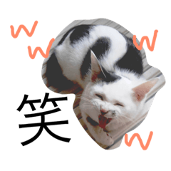 [LINEスタンプ] こじろーくんと一緒。