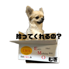 [LINEスタンプ] むぎスタンプ1