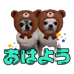 [LINEスタンプ] 歴代ワンコたち