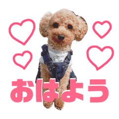 [LINEスタンプ] ちゃた＆びびの日常スタンプ