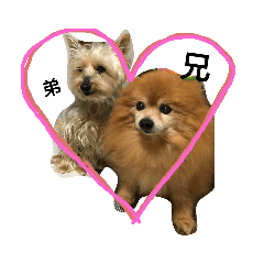 [LINEスタンプ] 犬の兄弟