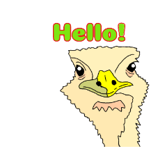 [LINEスタンプ] 鳥、野鳥スタンプ
