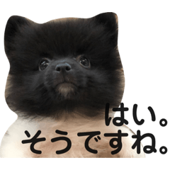 [LINEスタンプ] くうちゃん今日もかわいいスタンプ