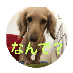 [LINEスタンプ] おまーち