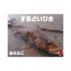 ほっかいどうでつれるおさかな
