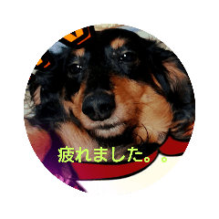 [LINEスタンプ] 私のスタンプだよ