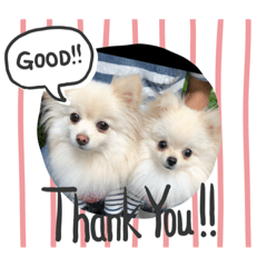 [LINEスタンプ] Tiara❤️Guy