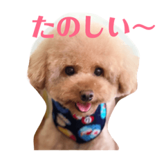 [LINEスタンプ] ぼく、福丸です。