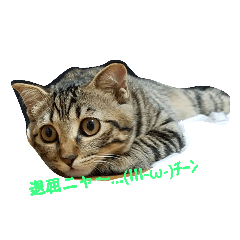 [LINEスタンプ] ツクシちゃんだぞ