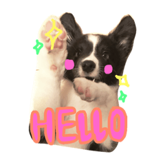 [LINEスタンプ] SAK.