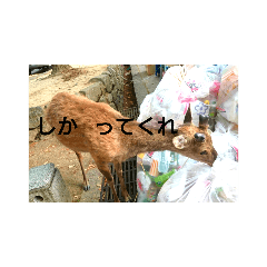 [LINEスタンプ] シュールな気分