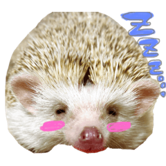 [LINEスタンプ] ハリネズミ小梅