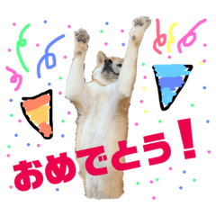 [LINEスタンプ] たろうまみれ 2