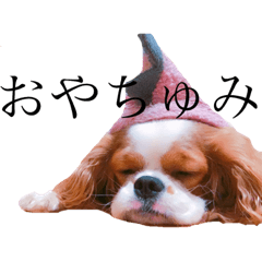 [LINEスタンプ] ありぴースタンプ