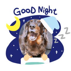 [LINEスタンプ] チャコワンワン