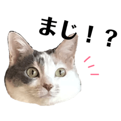 [LINEスタンプ] ユキさんスタンプ(其の一)